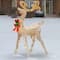 48" Crystal Splendor Reindeer Decoration, White LED Lights